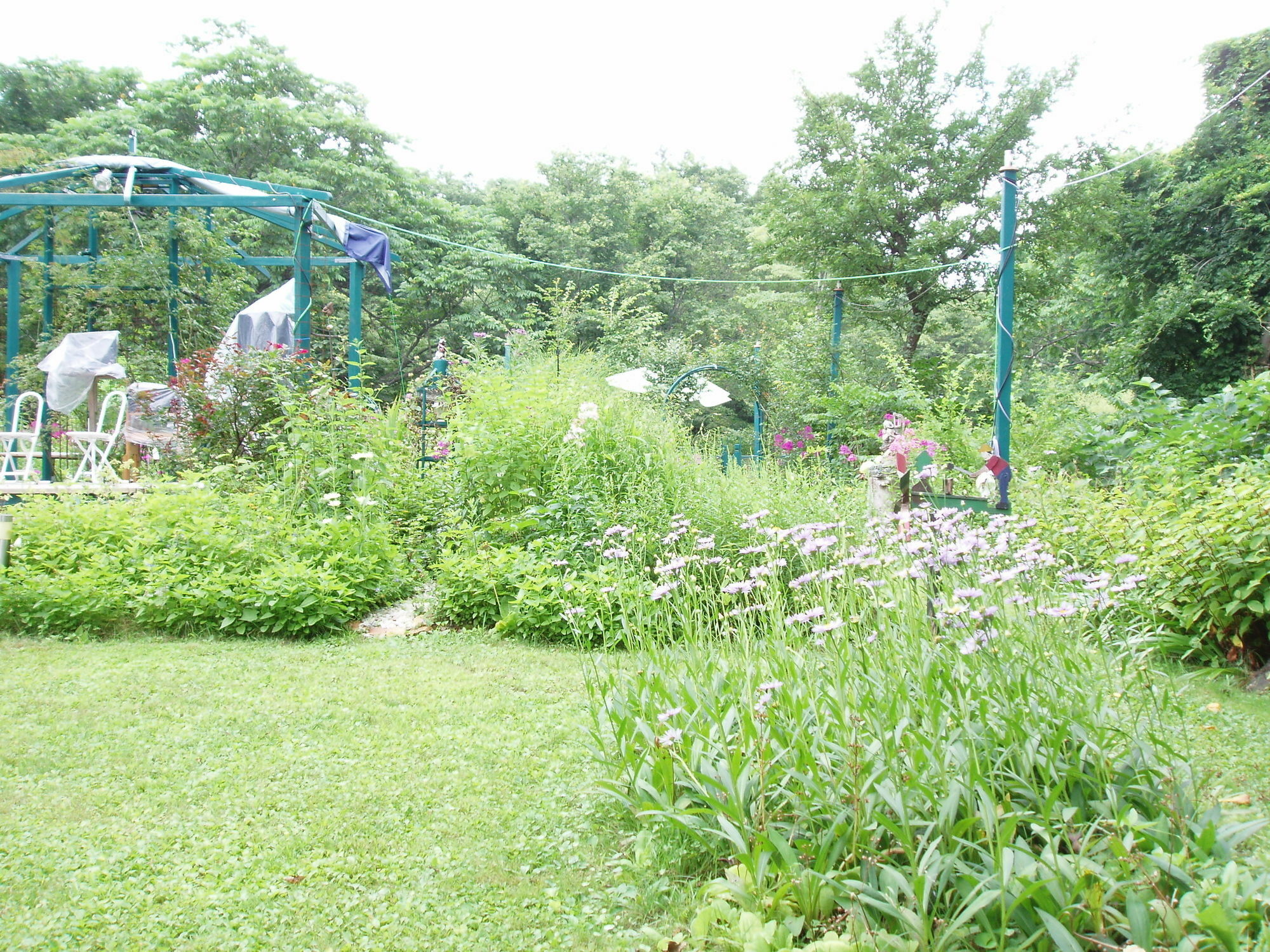 Country Inn Canadian House Мёко Экстерьер фото